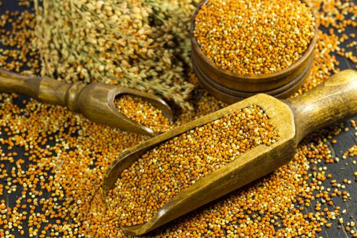 What are Millets: Types, Benefits and Recipes