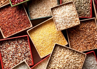 Rediscovering Lost Superfoods: A Guide to Cooking With Millets