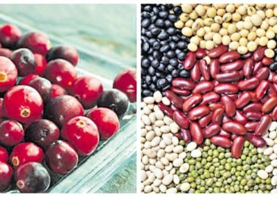 Experts bat for reviving indigenous foods