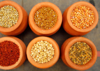Production, procurement of coarse cereals must be increased in planned manner: Piyush Goyal