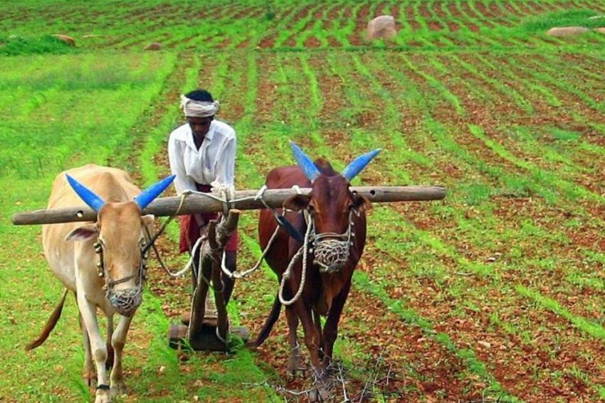 A Nutrition Sensitive Approach To Agriculture In India