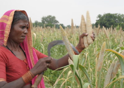 Shift from rice to millets, save 50 million tonnes of greenhouse gas emissions by 2050: Report
