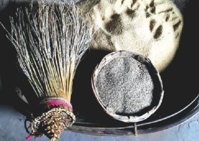 BAIGA’S VANISHING MILLET