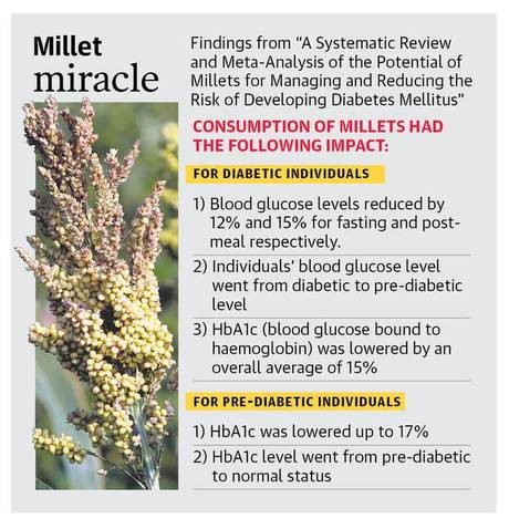 Millets turn panacea for diabetics        