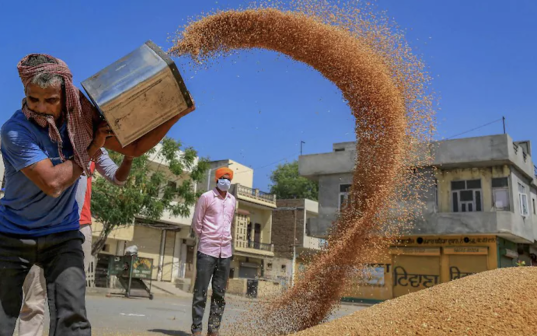 Millet-based diet can lower risk of type 2 diabetes and help manage blood glucose level: Study