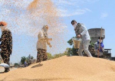 Study shows millets can reduce risk of developing cardiovascular diseases