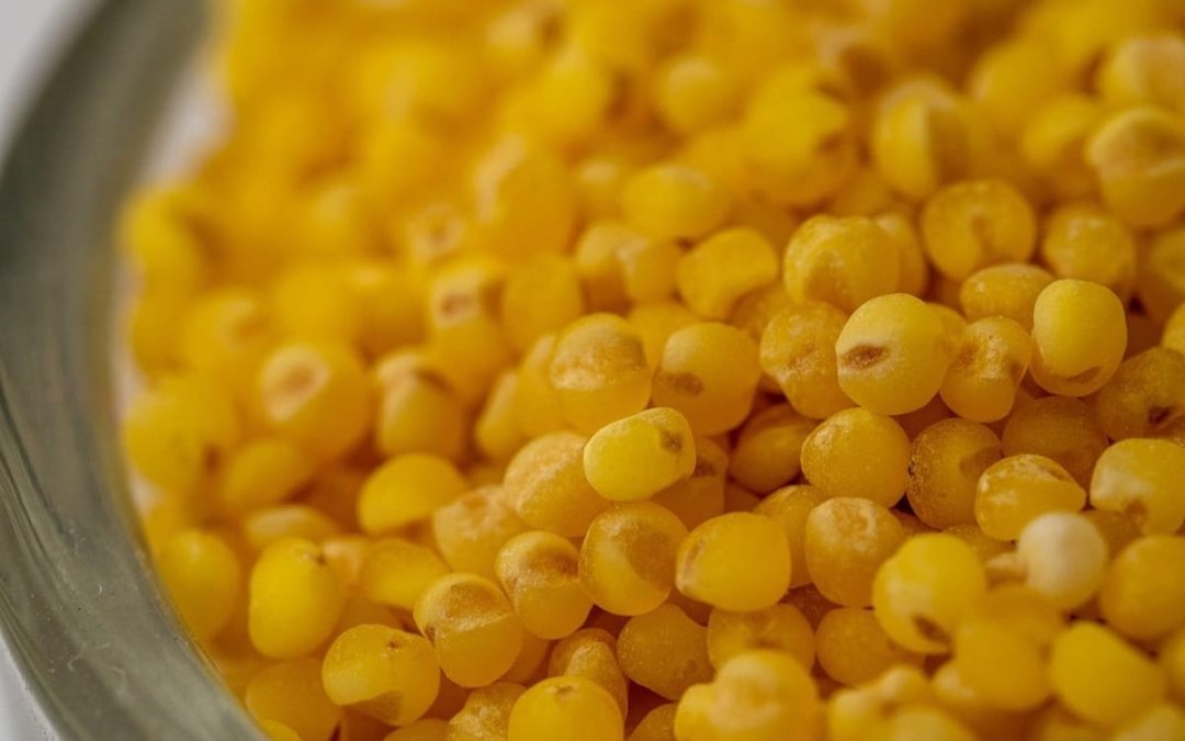 Have Your Tried Millet? It May Help Manage Blood Sugar Levels