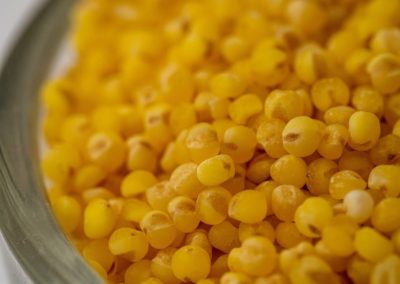 Have Your Tried Millet? It May Help Manage Blood Sugar Levels