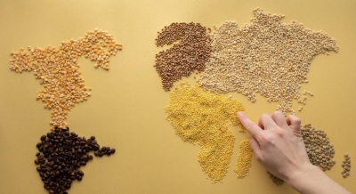 Millet Farming is a boon for India