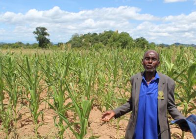 Farmers rediscover benefits of traditional small grains in Zimbabwe