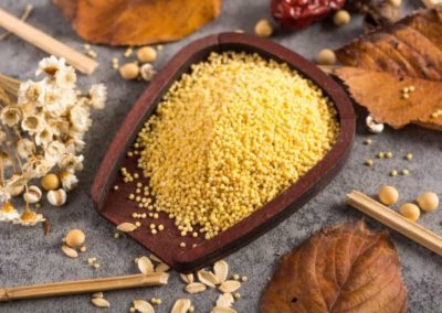 7 Days of Bajra for a better you!