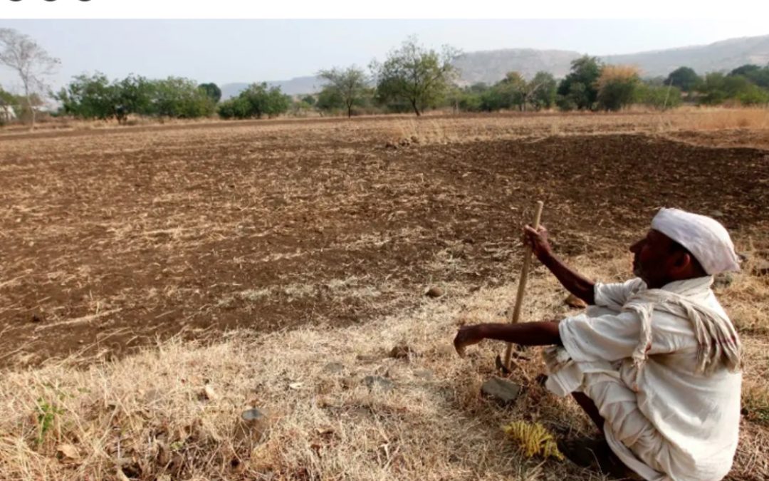 Poor Man’s Food In New Avatar: Marathwada’s Drought Food Is Now Trending As Superfood
