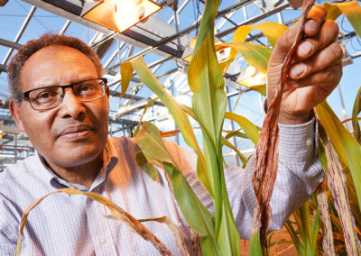 One gene closer to a sorghum Superman