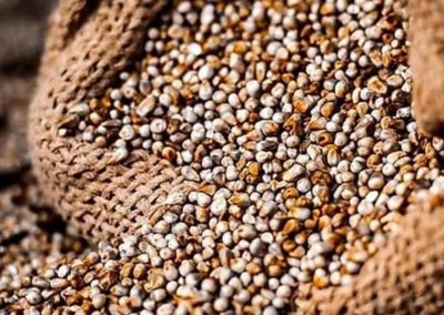 Want to boost your child’s growth? Replace rice with millets, says India-led nutrition study
