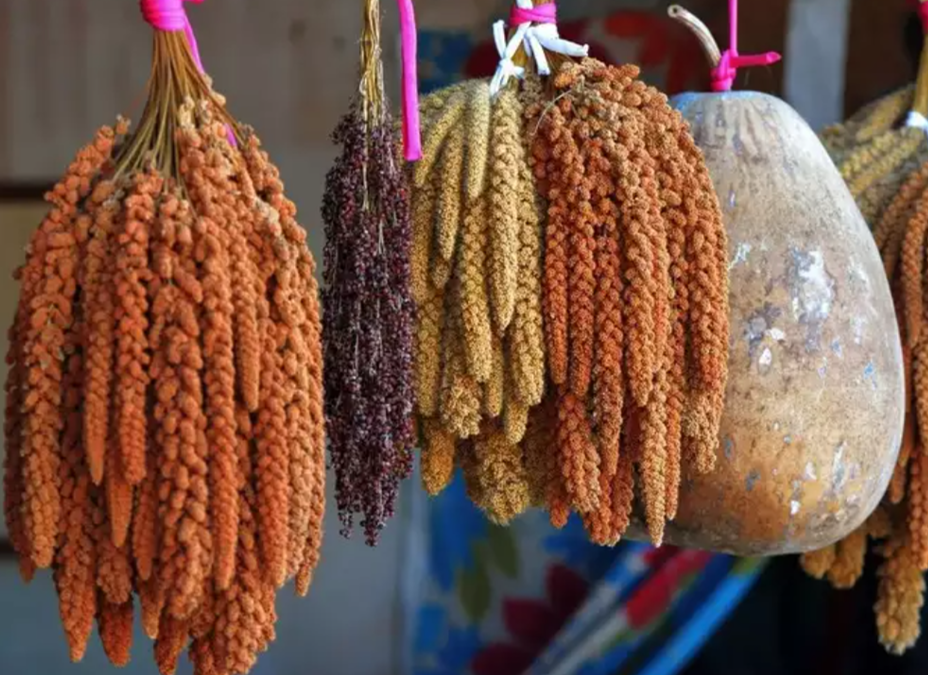 Three winter millets that can help boost immunity