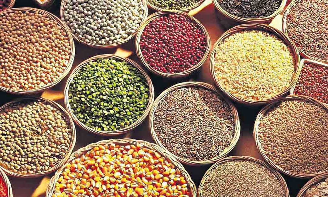 Opinion: Revive cultivation of ancient grains