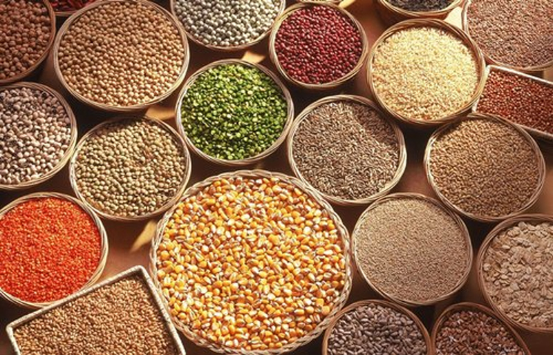Eating millets leads to better growth in children : Scientific evidence