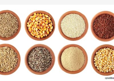 How Ancient Grains May Help Ease Future Food Shortages
