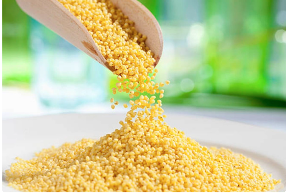 Millet: The super food for combating food and water security