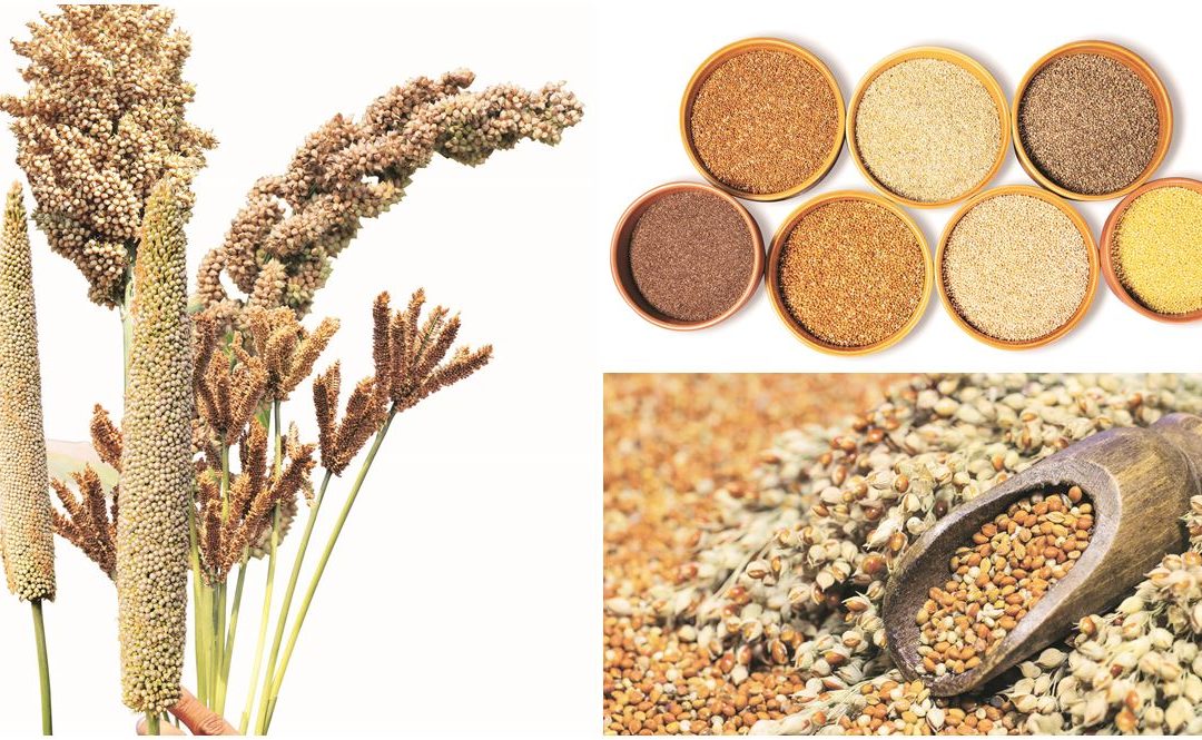 Mighty millets: Underrated powerhouse of nutrients