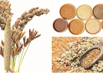 Mighty millets: Underrated powerhouse of nutrients