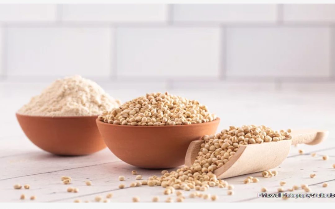 Why Sorghum Is About To Be Used In US School Lunch Programs