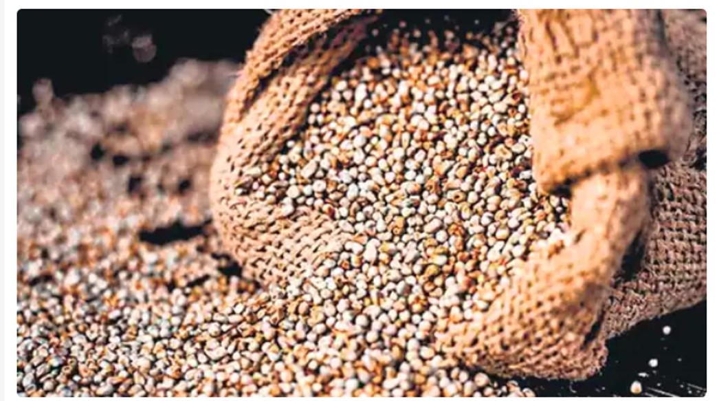 Health and nutrition: Reasons to make millets a part of our daily diet