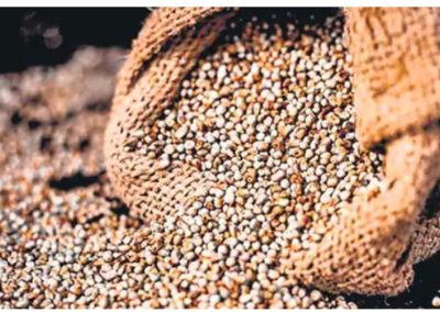 Increasing production and consumption of millets