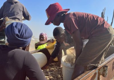 Zimbabwe food crisis: Could sorghum and millet replace maize?