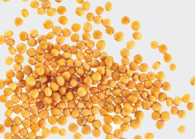 Millets reinstate super food status as they take centre stage on patients’ plates