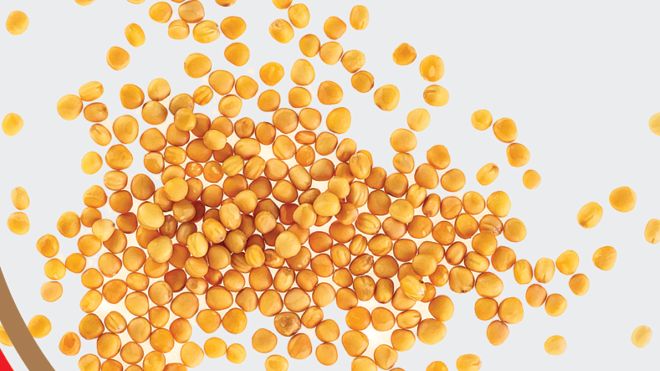 Millets offer opportunities                             