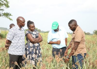 Naro tips farmers on millet, sorghum